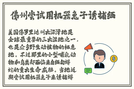 心遇app官网