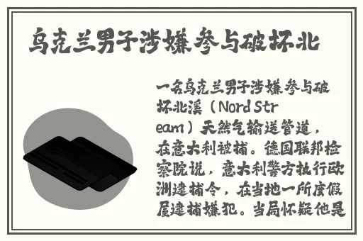 日本人玩荒野大镖客2